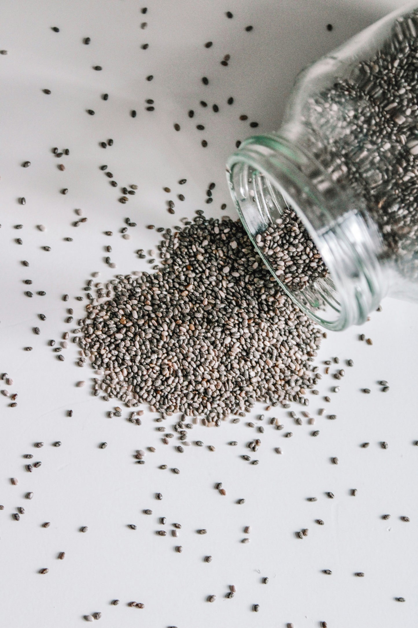 Wild Carrot Seeds — For Balance Within