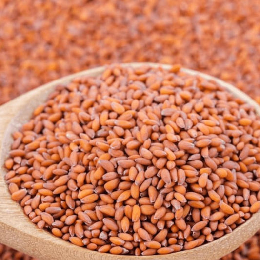 Habbat Rashad Seeds (Lepidium sativum)